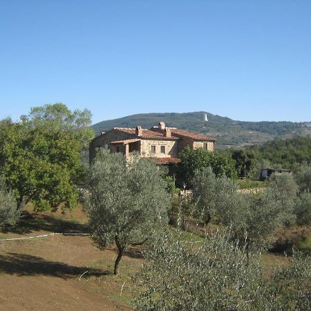 Sport Bikes And Nature Monterotondo  Exterior photo